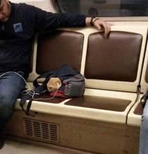 Rock roll and meow