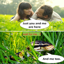 Romantic Snake