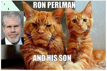 Ron Perlman and his son