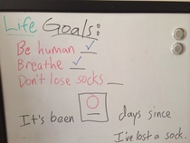 Roommate sets his goals pretty low