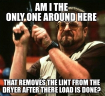 Roommates man