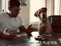 Ruff time winning against this pup