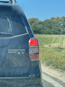 Run Subaru run