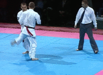 Russian Kyokushin champion deals the winning kick