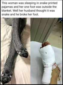 sad snake story