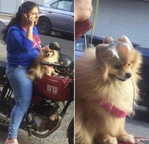 Safety first