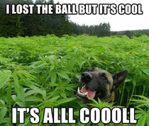 sallllllllllllllllllllllllllllllllllll goooooooooooooooooooooooooooood