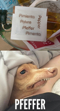 Salt and pfeffer pls