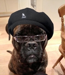 Samuel L Dogson