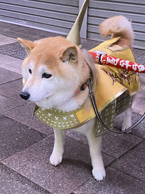 Samurai Doge protecting the streets of Tokyo