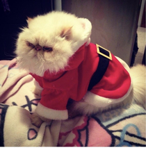 Santa Claws