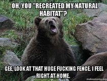 Sarcastic Captive Bear