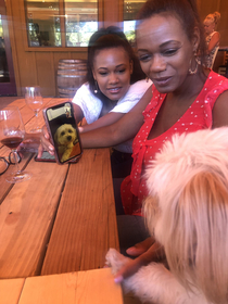 Sat next to these ladies who insisted our dog FaceTime with theirs 