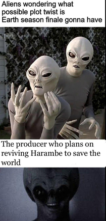 Save us Harambe youre our only hope