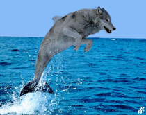 Saw a post about a seawolf on the front page did some research and google did not disappoint