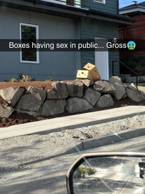 Saw  boxes having sex on the drive home