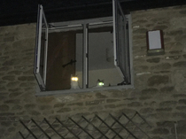 Saw my neighbours cats in a window so I decided to take a picture