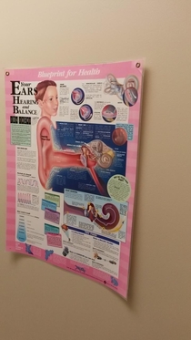Saw this at my kids school in the nurses office Did a double take
