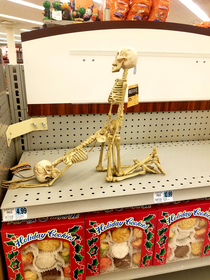 Saw this at Rite Aid A Halloween Bone