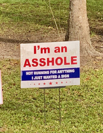 Saw this gem in a yard in Houston