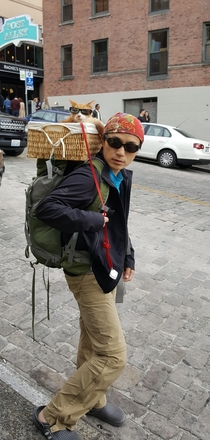 Saw this guy carrying his cat on his back at Pike Place Market