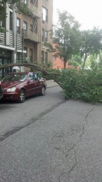 Saw this in Brooklyn NY this morning Lucky son of a