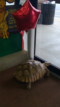 Saw this little guy at the pet store today The balloon was a nice touch