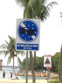 Saw this on a beach in Singapore
