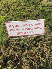 Saw this on my neighbors yard