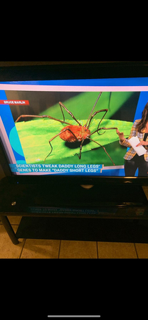 Saw this on the news wtf