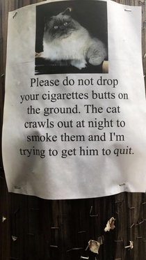 Saw this posted up around the town I go to school in