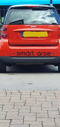 Saw this today on a smart car lol
