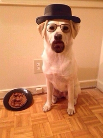 Say hello to Heisenbark