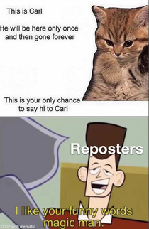 Say hi to Carl