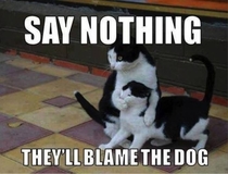 Say Nothing Theyill Blame The Dog