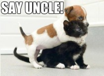 Say Uncle