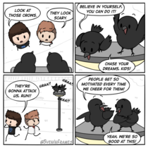 Scary Crows 