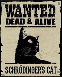 Schrdingers Cat