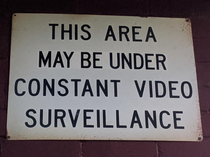 Schrdingers surveillance