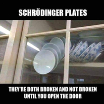 Schrodinger plates