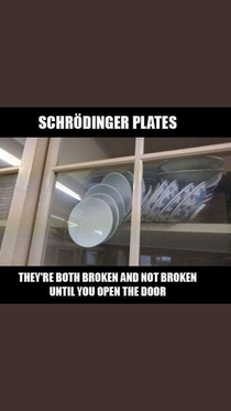 Schrodingers plates