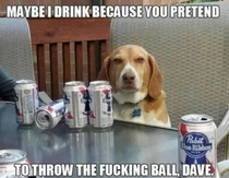 Screw You Dave