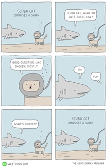 Scuba Cat Confuses a Shark