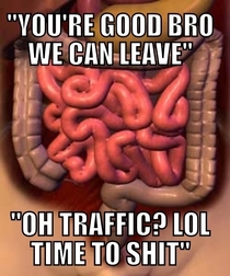 Scumbag Bowels