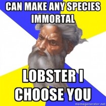 Scumbag God