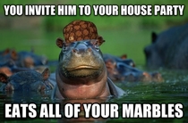 Scumbag Hippo - I wondered where they went