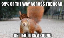 Scumbag Squirrel