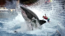 Sea World to discontinue Great White Shark ride
