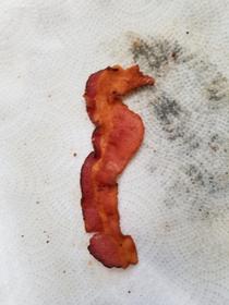 Seahorse Bacon