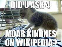 Search up LOLCATS on wikipedia